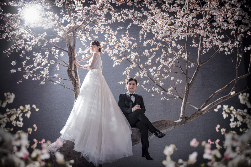 桜と光の織りなす心に刻まれるワンシーン