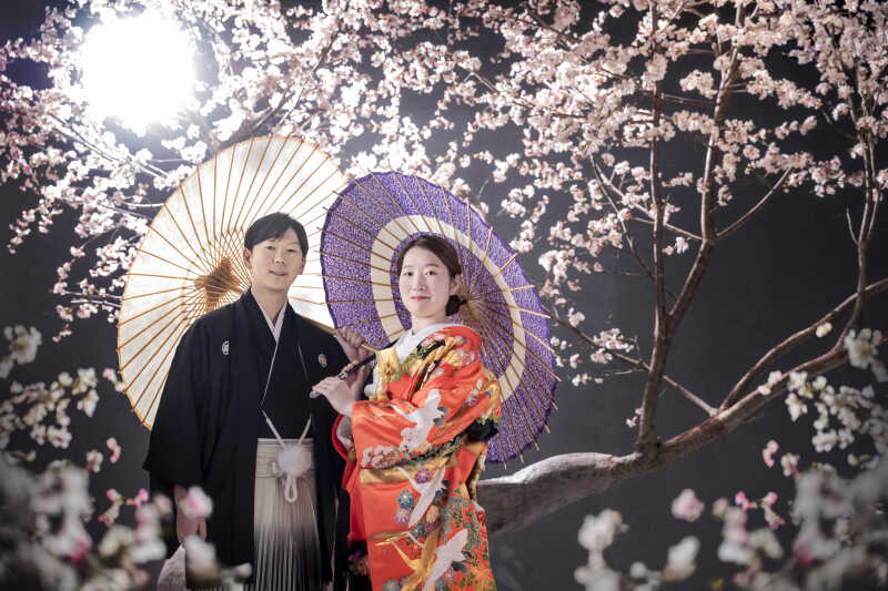 日本の伝統美「桜」