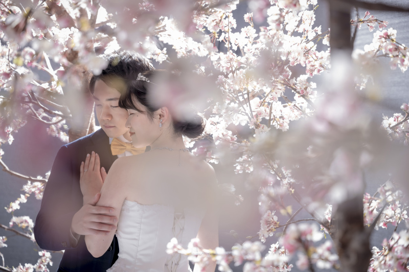 満開の桜の中で…ブランズ桜スタジオ♪