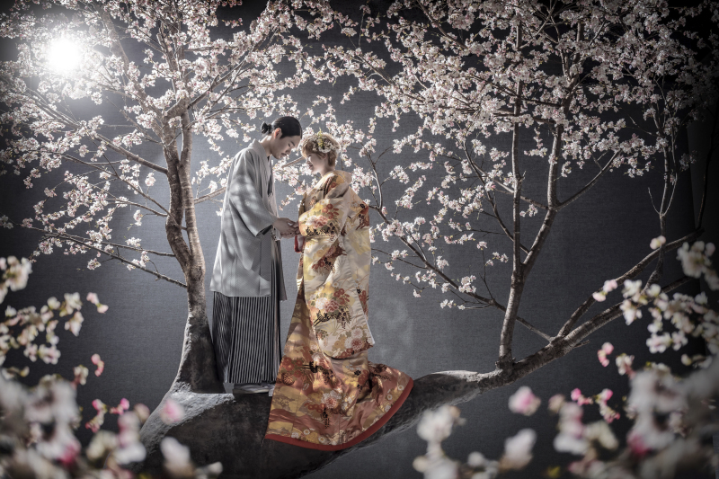 桜に願いを込めて