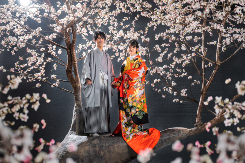桜に囲まれて