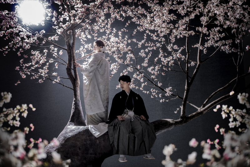 夜桜に包まれて、静かに時が止まった瞬間