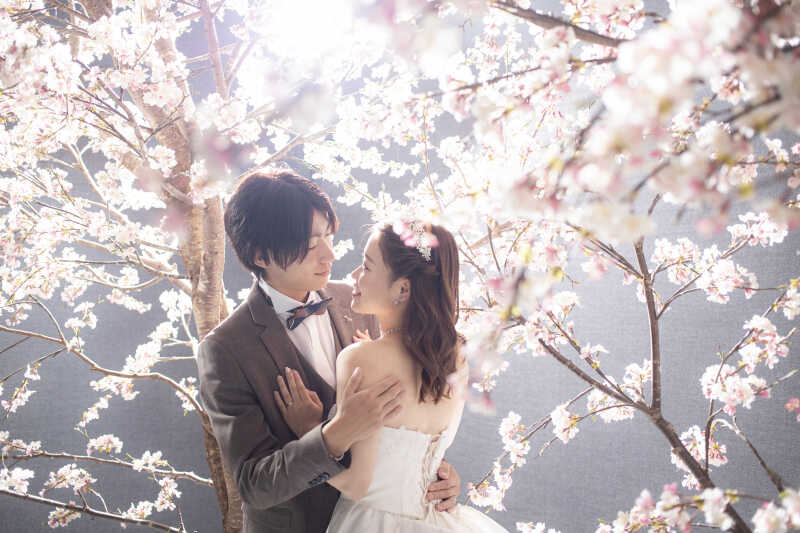 【桜】ハグショット