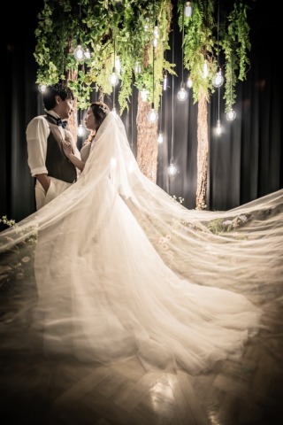 光の中に美しく舞うベール