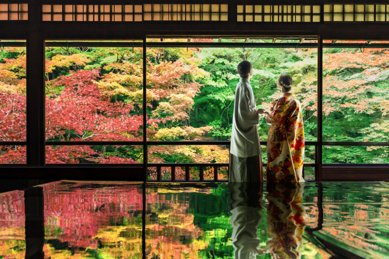 幻想的な瑠璃光院でのミラクルショット