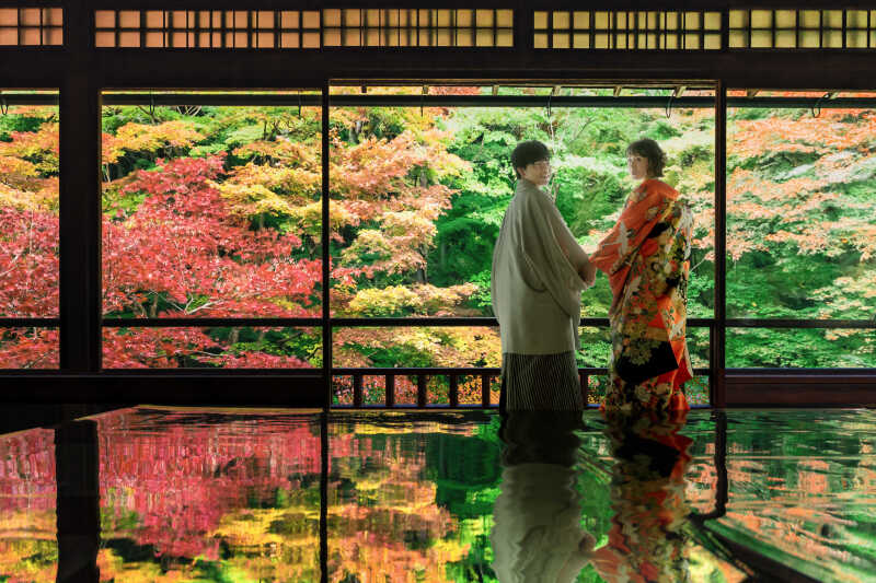 壮大な紅葉に囲まれて