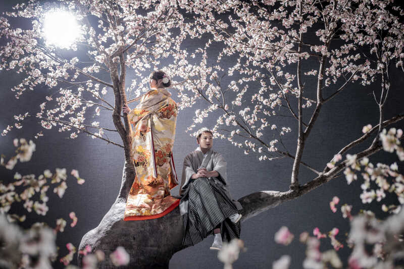 【桜】和装バックショット