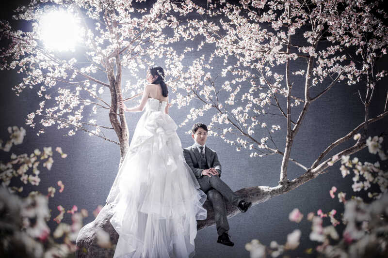 【桜】ご新婦様バックショット