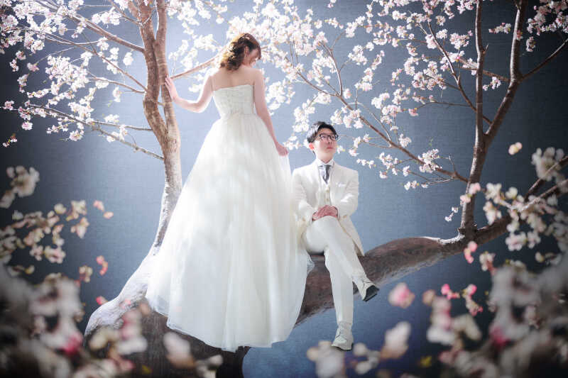 満開の桜に囲まれて✿