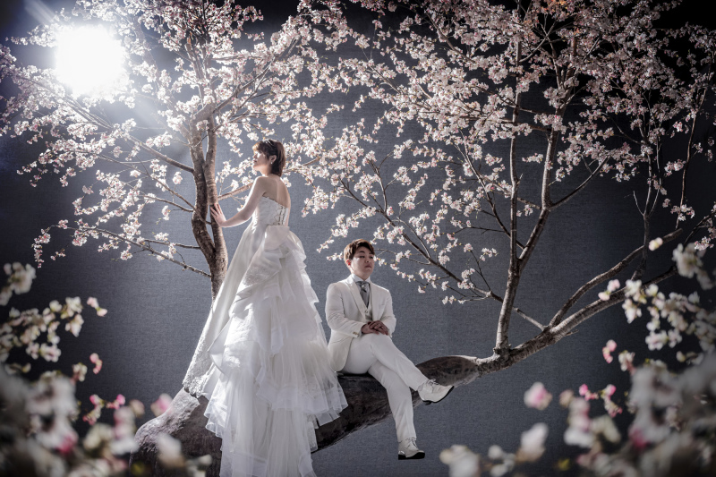 ドラマティックな桜ショット