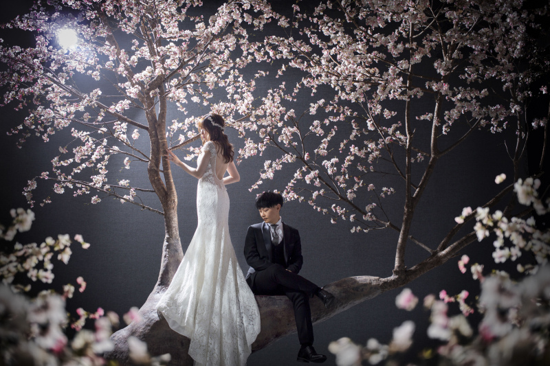 桜のシーンはドラマティックに…