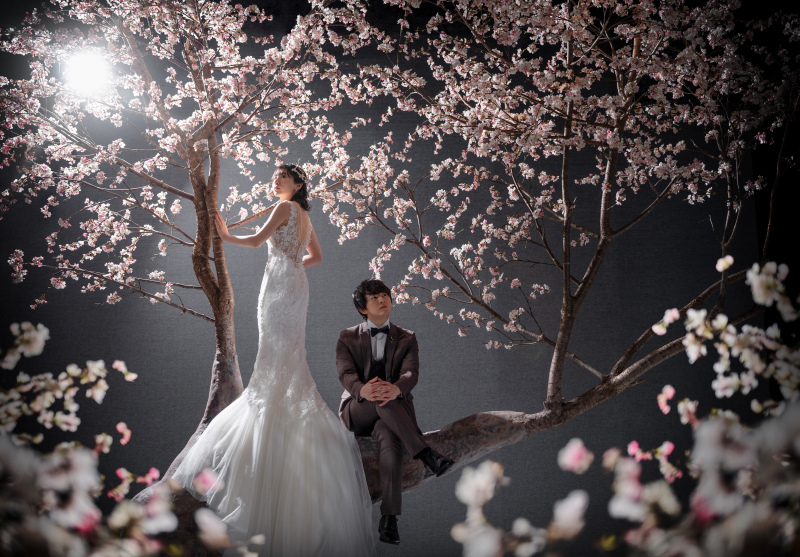 【SAKURA】満開の桜に囲まれて