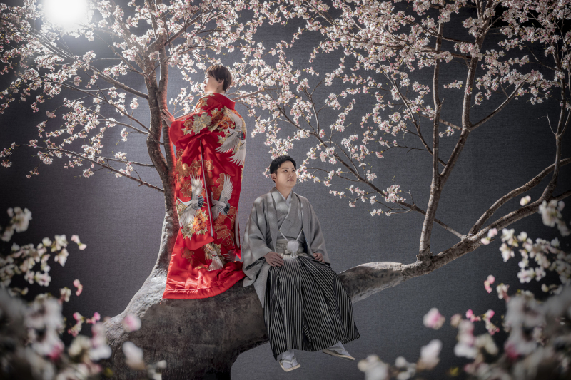 ドラマティックフォト|桜