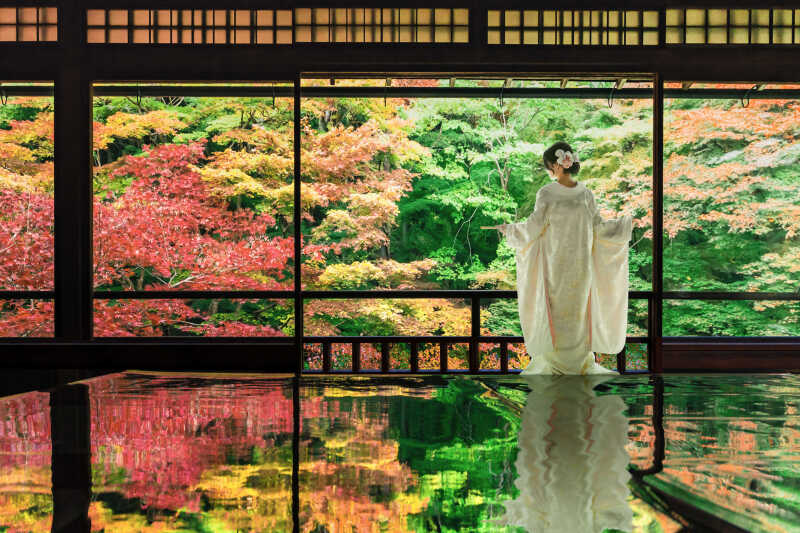 美しいバックショット、広がる着物の裾に魅せられて