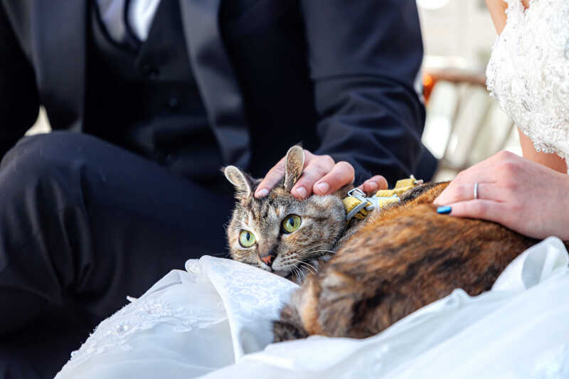 "よしよし"の優しさ