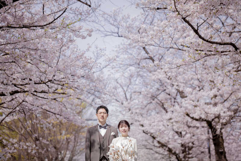 ✿満開の桜に囲まれて✿