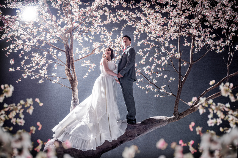 一面満開の桜に抱かれて