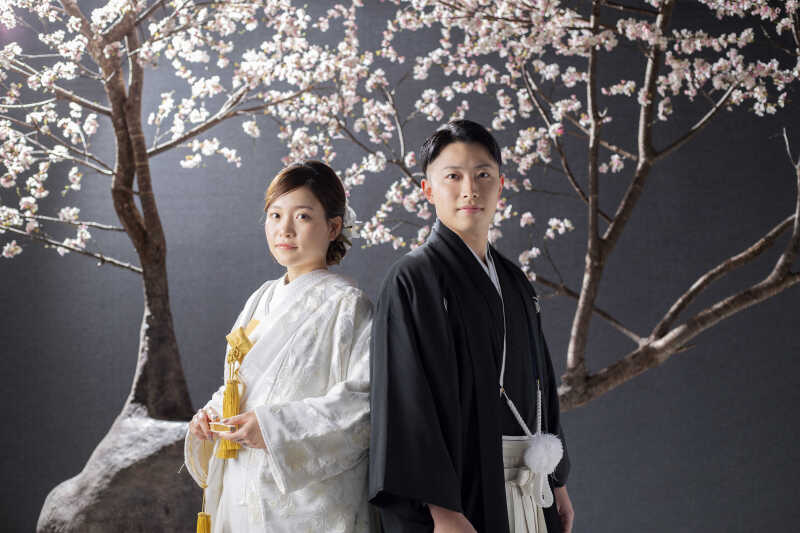 桜の下で紡ぐ物語