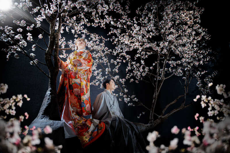 和装と桜が織りなす春の一枚