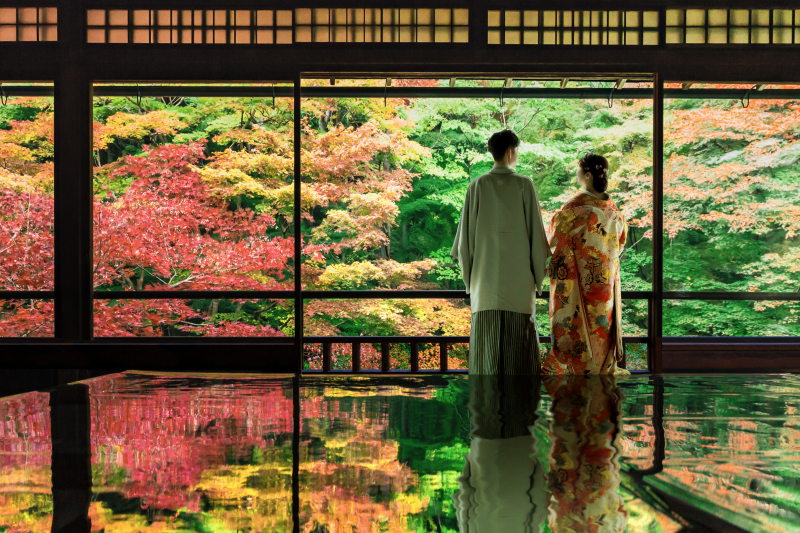 見惚れるほどの紅葉