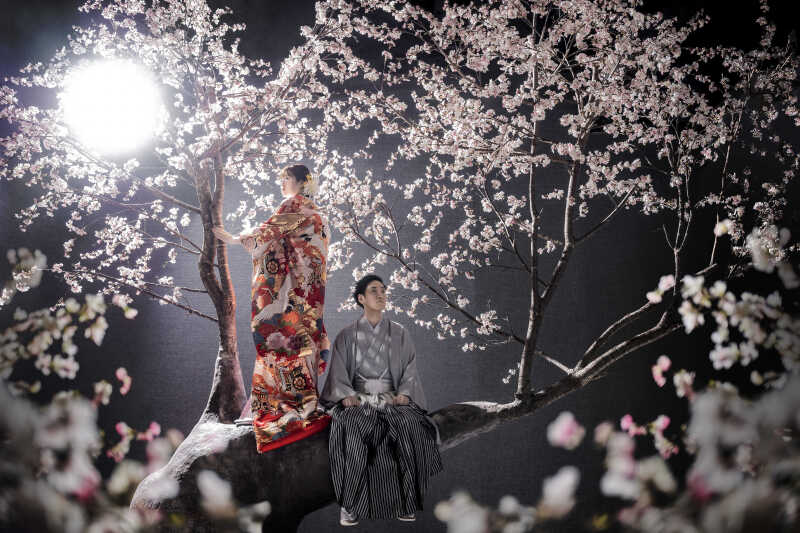 ✿満開の桜に包まれて✿