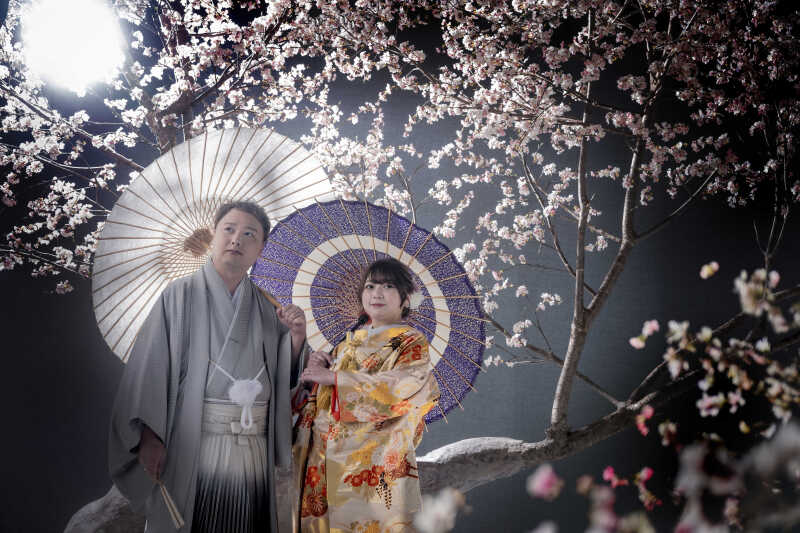 【桜】和傘ショット