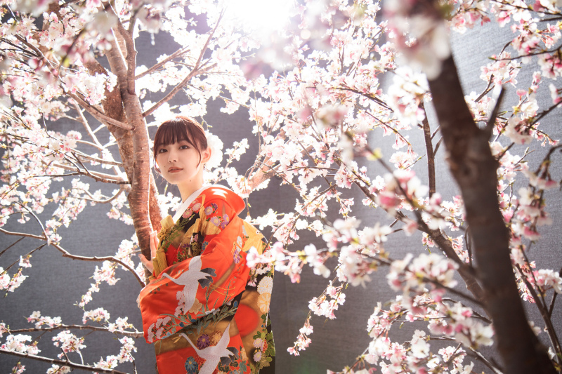 【桜】クール×別アングルショット