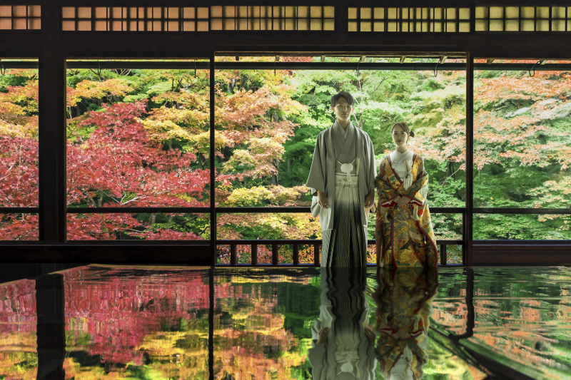 何度も見返したくなる・・紅葉に包まれて