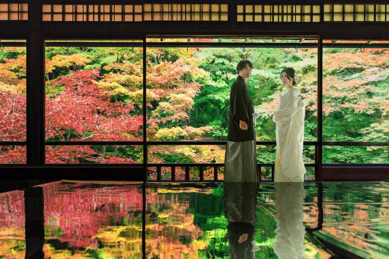 鮮やかな紅葉の中で振り向く笑顔✿