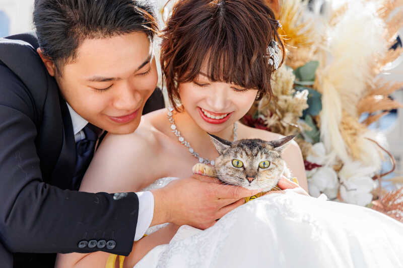 一生の思い出に“にゃん”と登場!猫ちゃんと叶えた幸せショット