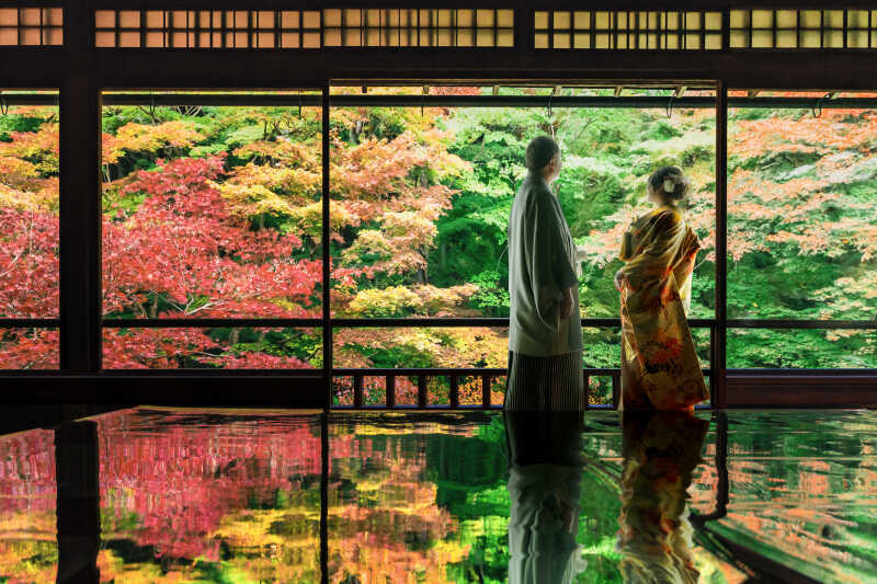 【瑠璃光院】紅葉眺望ショット