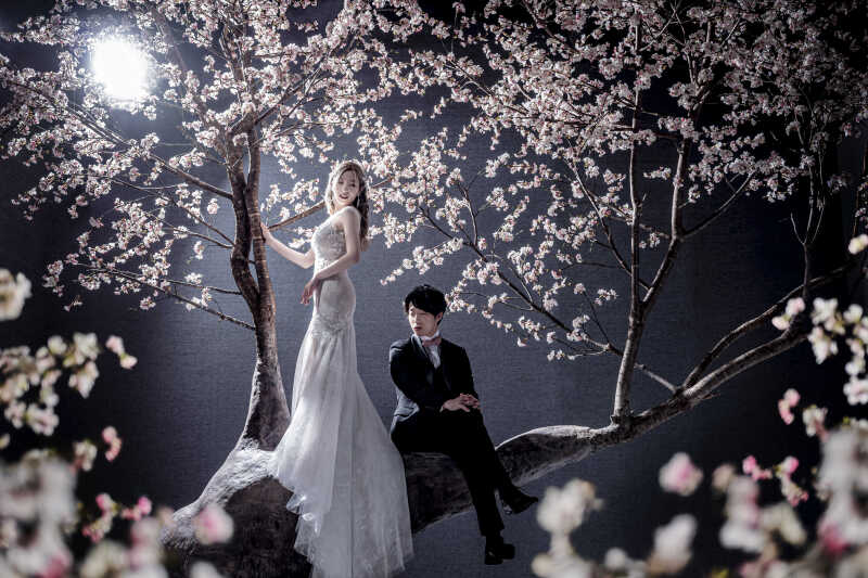 「桜」シーン×洋装スタイル…特別美しいショット♪