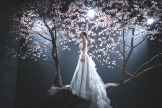 12/20　撮影しました♪