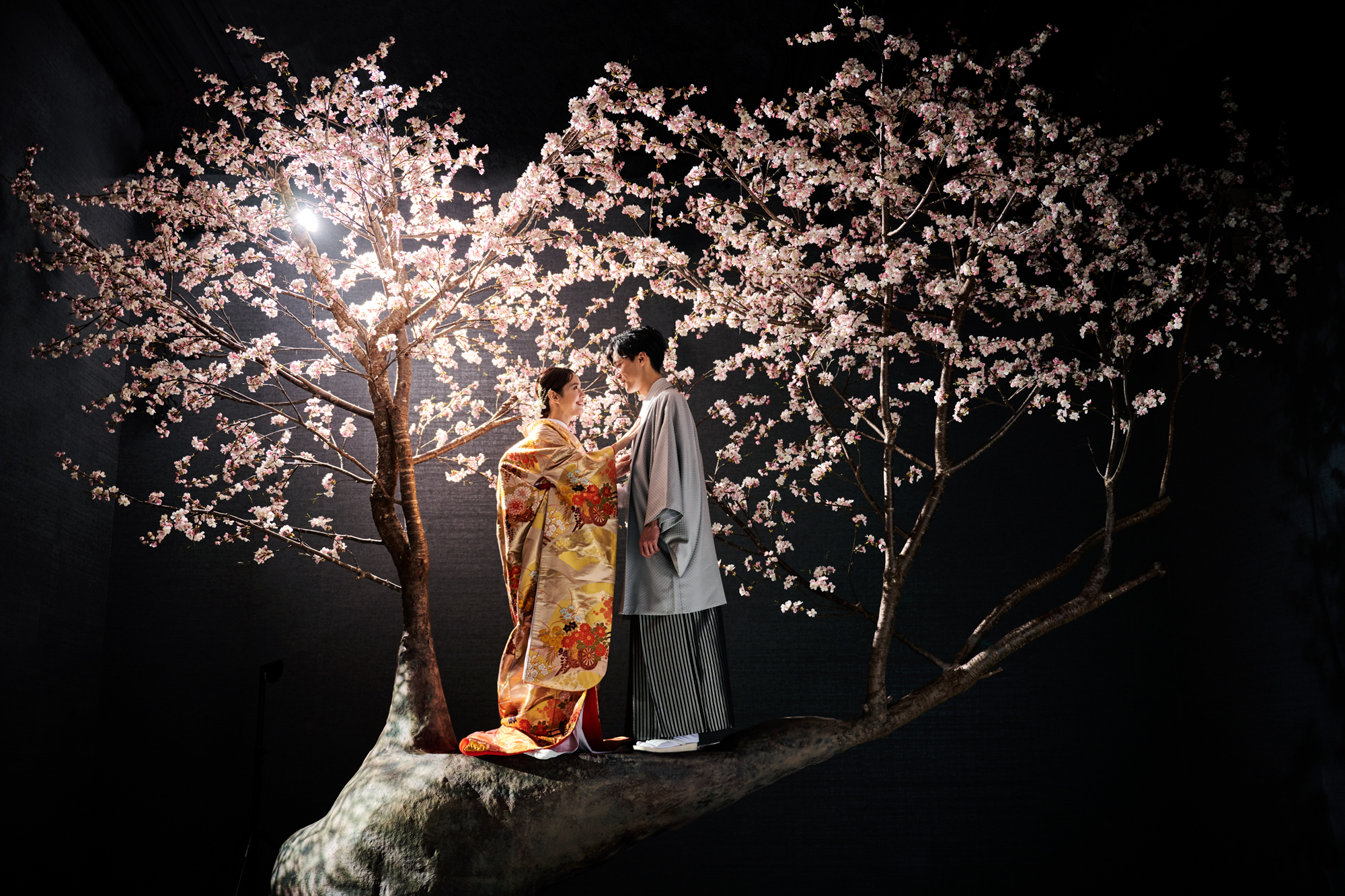 20以上ある撮影シーン