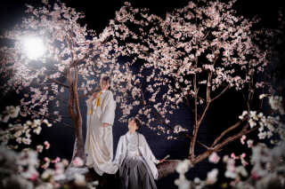 幻想的&times;和装もおまかせください。