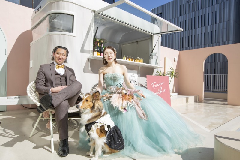 ペットと一緒のフォトウェディング♪ルーフトップテラス貸切【テラス撮影し放題+スタジオ3シーン】