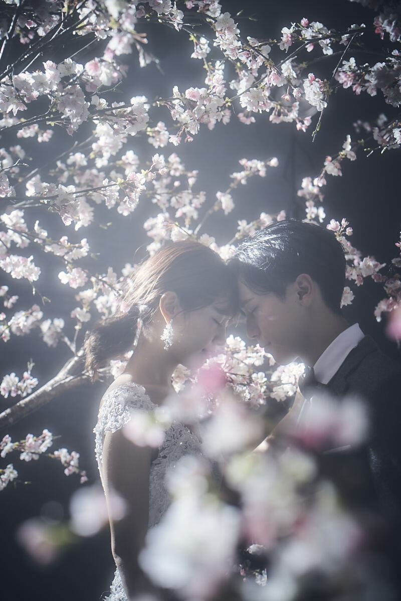 【30ページアルバム+9シーン撮影】洋装3着スタジオ撮影プラン✷衣装選び放題!