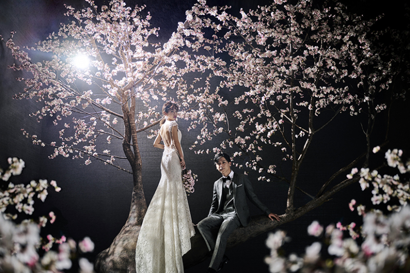 【 4月末まで撮影限定｜Spring campaign | サクラ撮影を必ず叶えるプラン！】