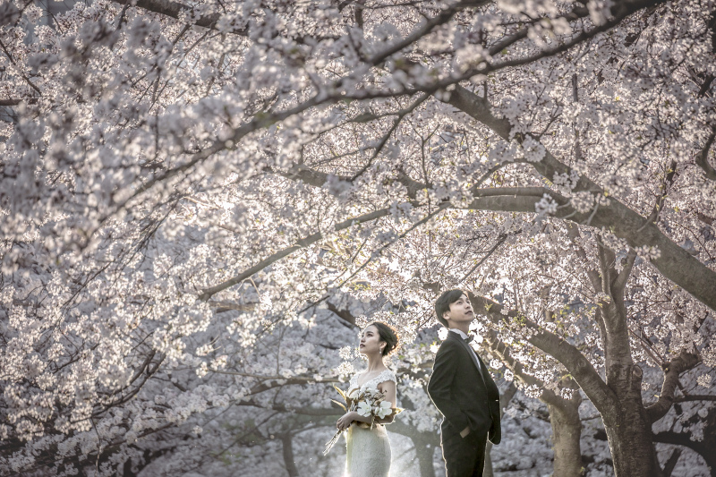 【Spring campaign｜322,300円&rarr;267,300円】和装洋装でロケ＋スタジオ撮影｜全200カット