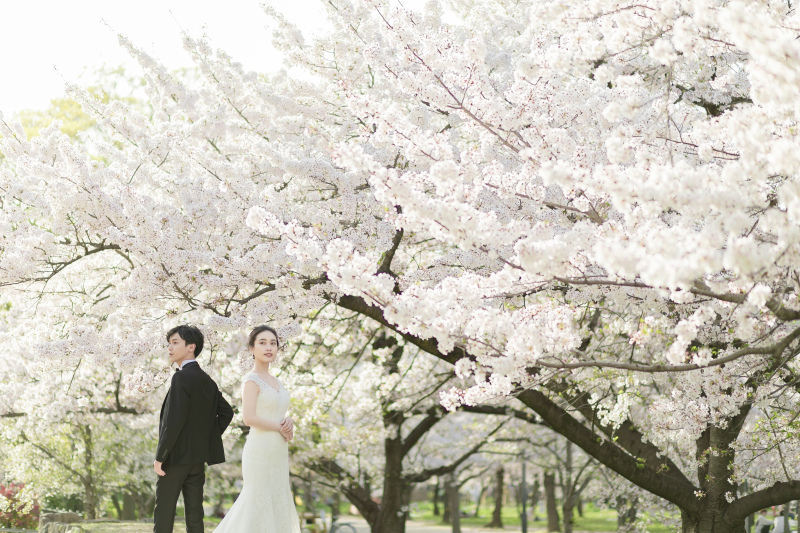 【4月10日までの撮影限定｜桜ロケーション campaign | ｜衣装1着ロケーションプラン！】