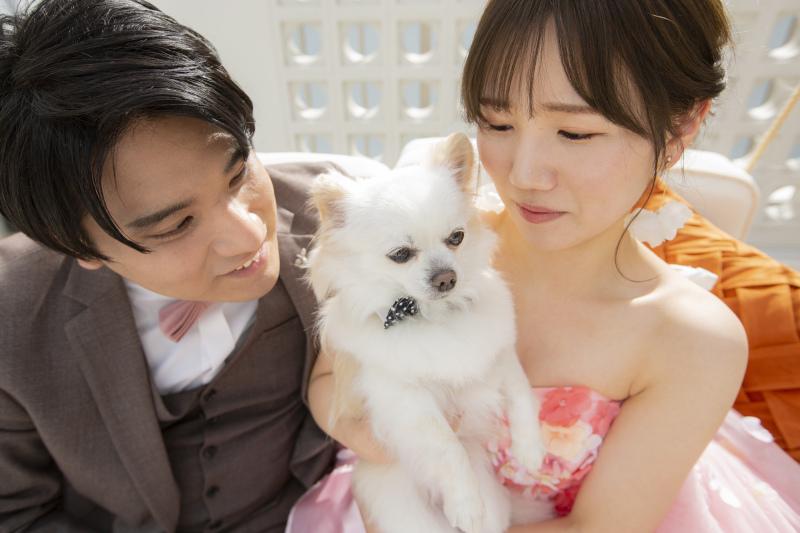 ペットと一緒のフォトウェディング♪ルーフトップテラス貸切【テラス撮影し放題+スタジオ3シーン】