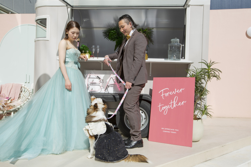 ペットと一緒のフォトウェディング♪ルーフトップテラス貸切【テラス撮影し放題+スタジオ3シーン】