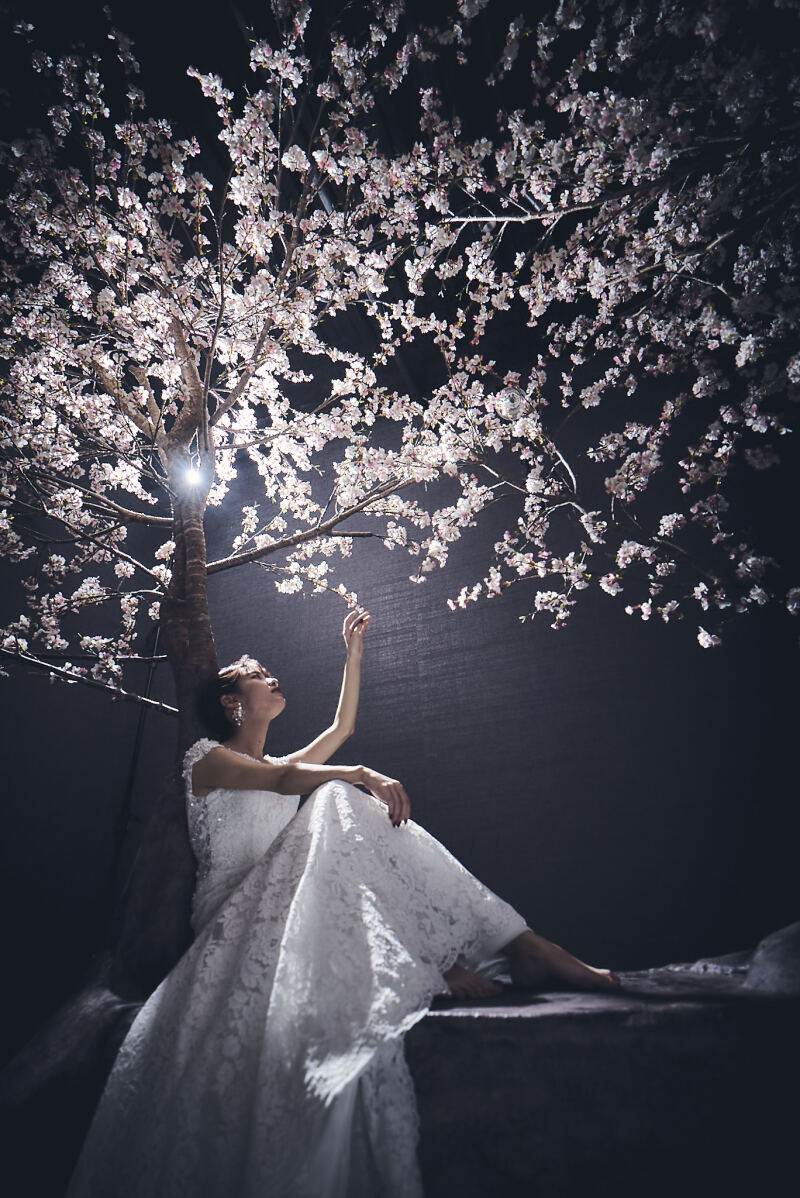 マタニティプラン♡【12ページアルバム付き】洋装1着スタジオ撮影