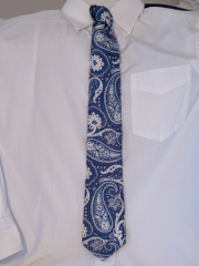 ネクタイ／ペイズリー／ブルーEPOCA UOMO