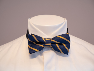 ボウタイ（蝶ネクタイ）レジメンタル／ネイビー×イエロー