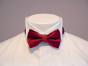 ボウタイ（蝶ネクタイ）レッド無地
