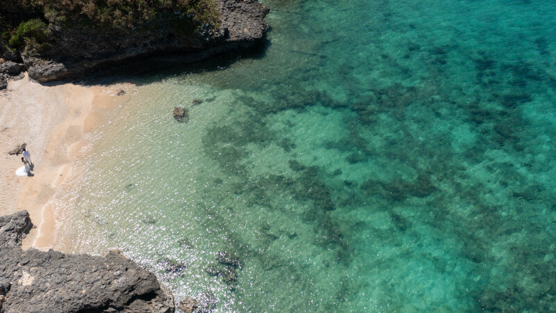 青く透明な海を