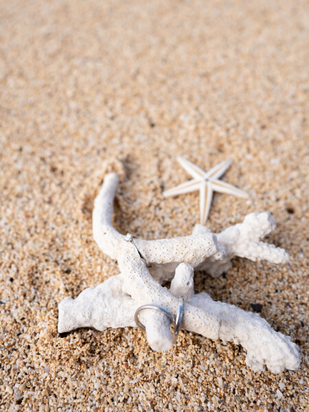 珊瑚をリングピローにするのもパラディスの定番です