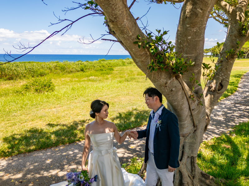 まずはみんな大好きな並木道です