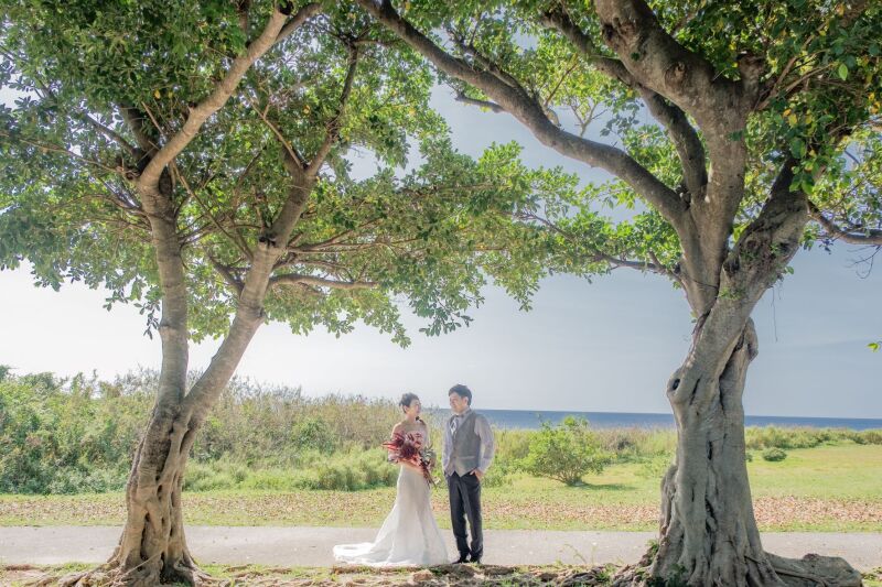 最初はガジュマルの木の下で